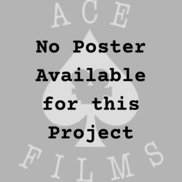 No Poster Available for this Project